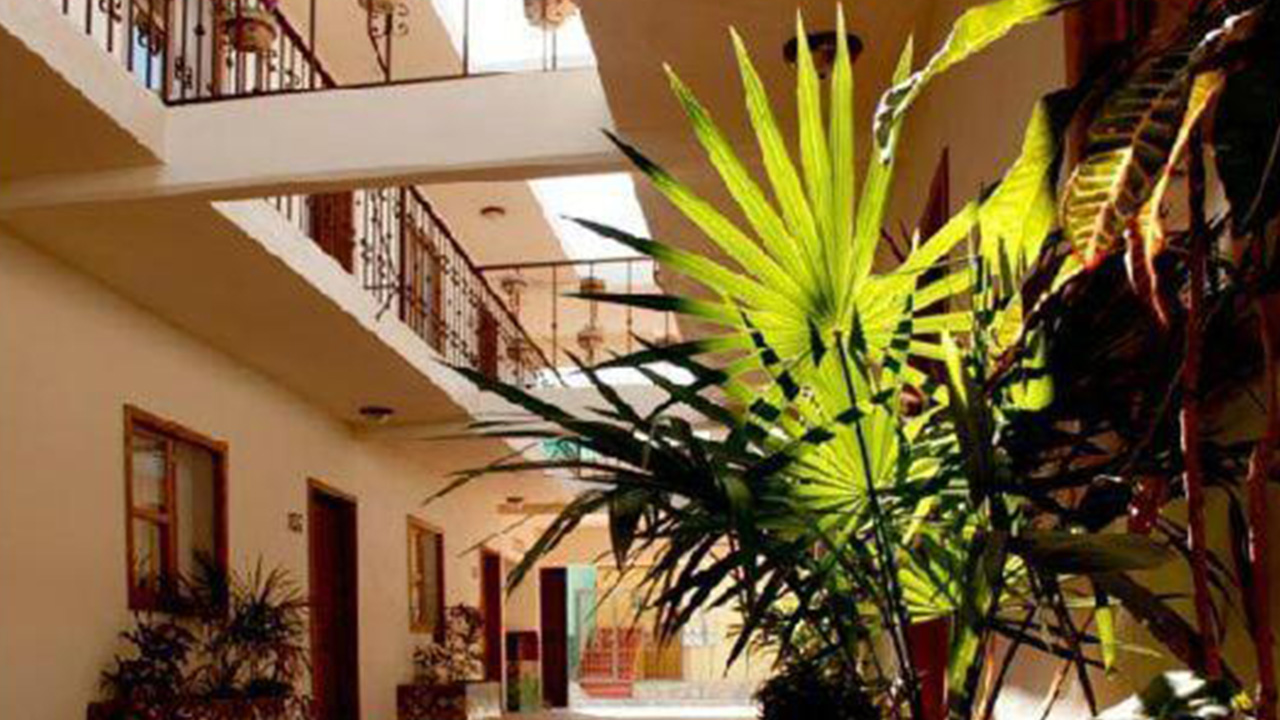 Cabo Cush Hotel Transportation